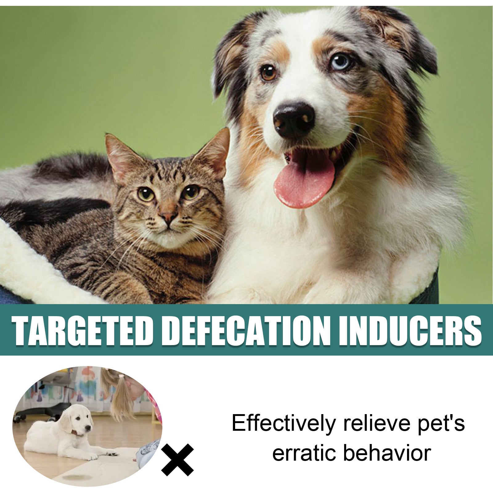 Pet potty training spray  for Dogs& cats fast Results!