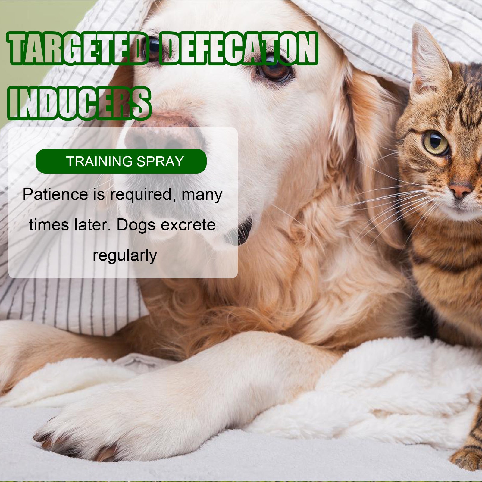 Pet potty training spray  for Dogs& cats fast Results!