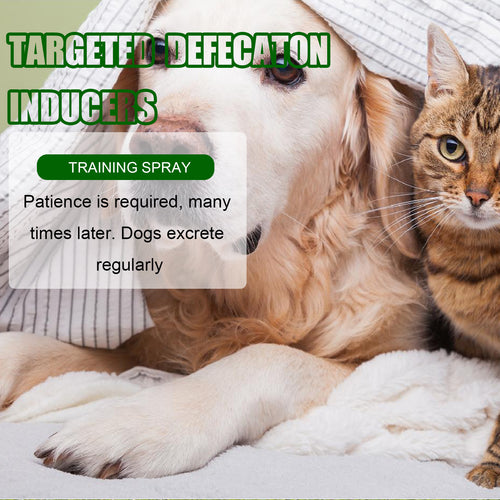 Pet potty training spray  for Dogs& cats fast Results!